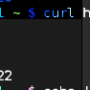 nginx_status.png